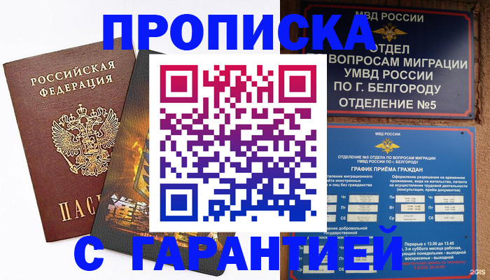 временная регистрация госуслуги в Алексине